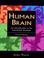 Cover of: The human brain